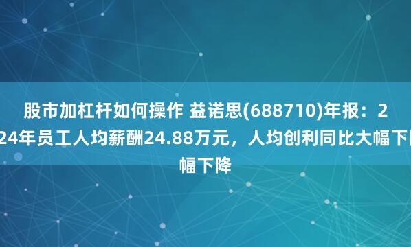 股市加杠杆如何操作 益诺思(688710)年报：2024年员工人均薪酬24.88万元，人均创利同比大幅下降