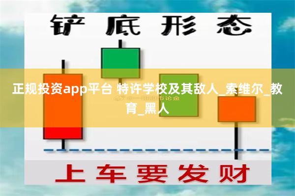 正规投资app平台 特许学校及其敌人_索维尔_教育_黑人