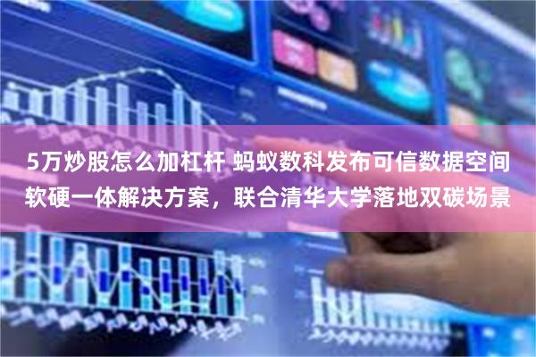 5万炒股怎么加杠杆 蚂蚁数科发布可信数据空间软硬一体解决方案，联合清华大学落地双碳场景
