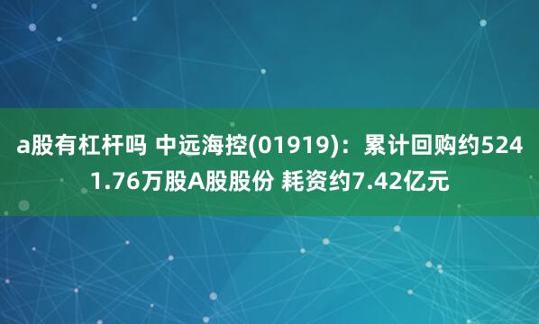 a股有杠杆吗 中远海控(01919)：累计回购约5241.76万股A股股份 耗资约7.42亿元