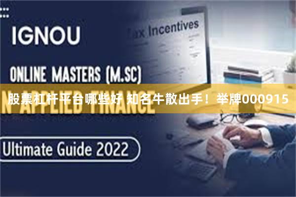 股票杠杆平台哪些好 知名牛散出手！举牌000915
