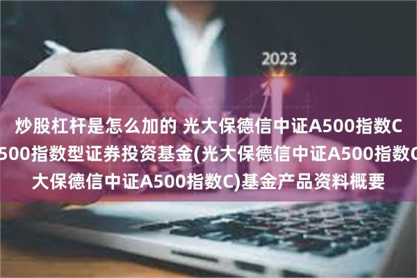 炒股杠杆是怎么加的 光大保德信中证A500指数C: 光大保德信中证A500指数型证券投资基金(光大保德信中证A500指数C)基金产品资料概要