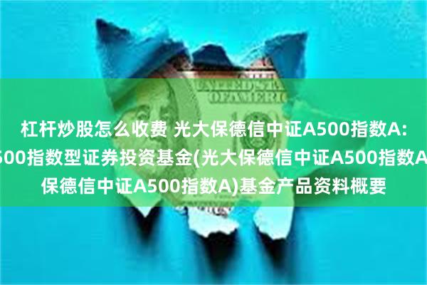 杠杆炒股怎么收费 光大保德信中证A500指数A: 光大保德信中证A500指数型证券投资基金(光大保德信中证A500指数A)基金产品资料概要